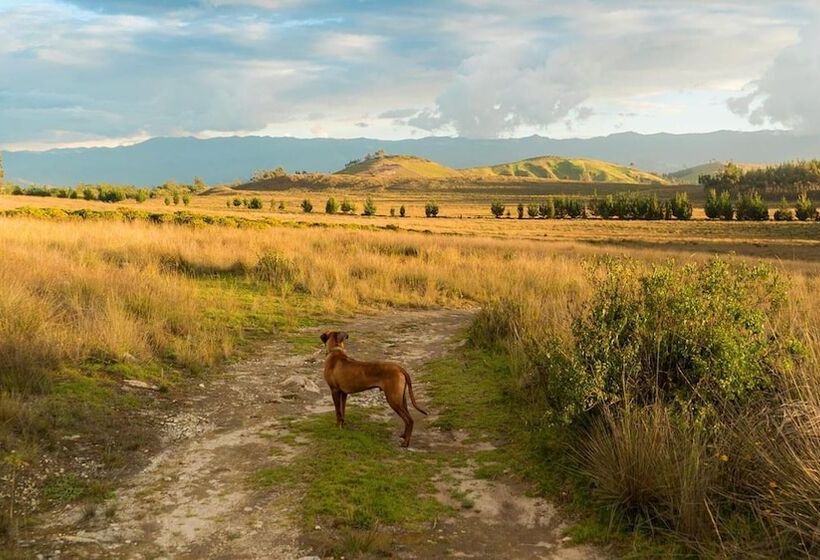Отель Llanganuco Mountain Lodge