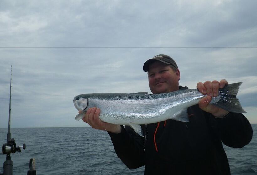 فندق Red Moose Lodge