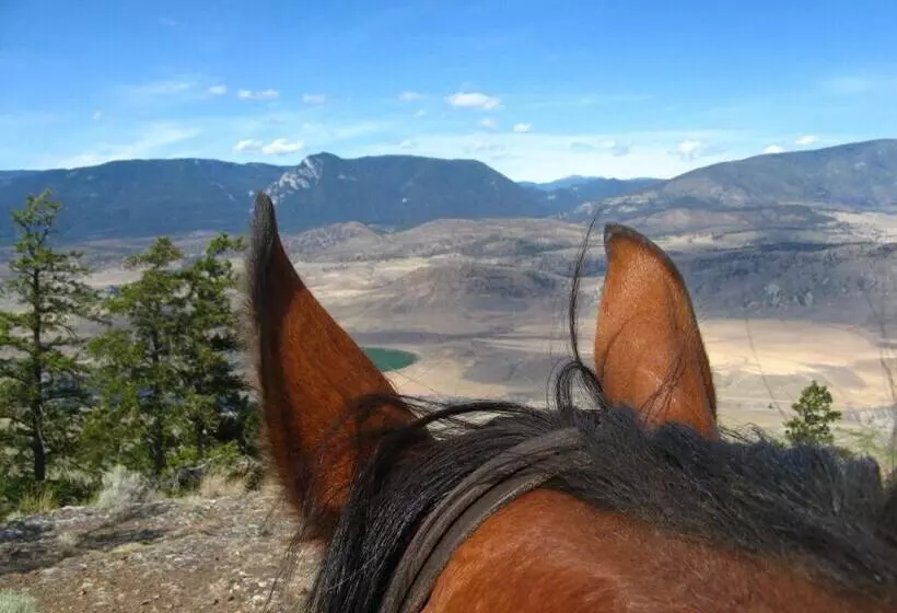 ホテル Sundance Guest Ranch