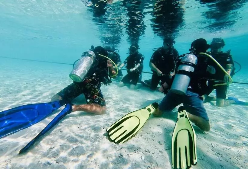 ホテル The Reef Dive Resort