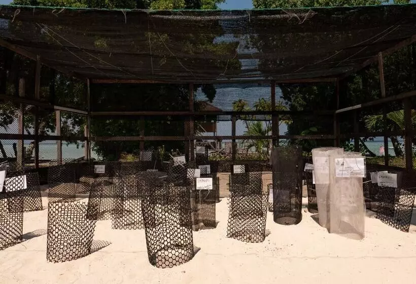 ホテル The Reef Dive Resort