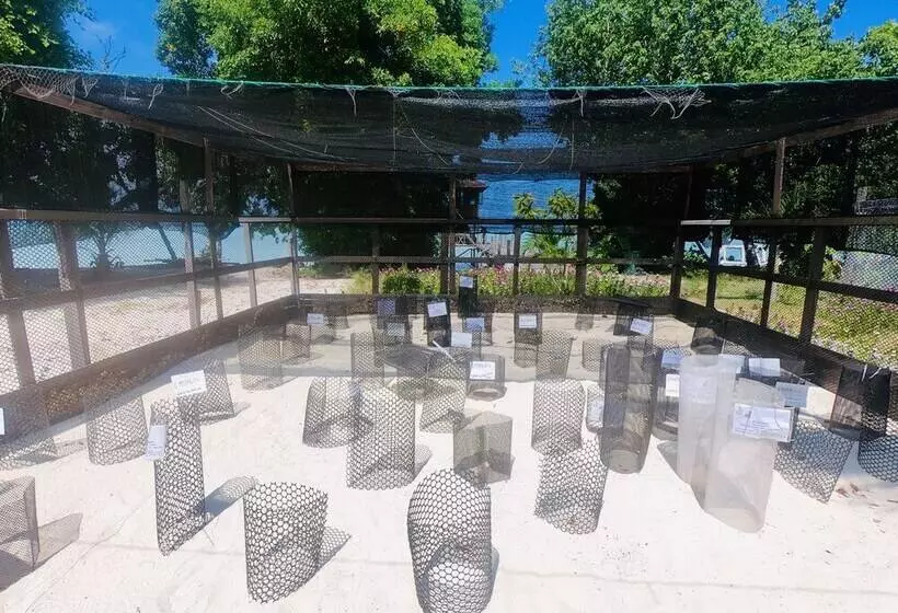 ホテル The Reef Dive Resort