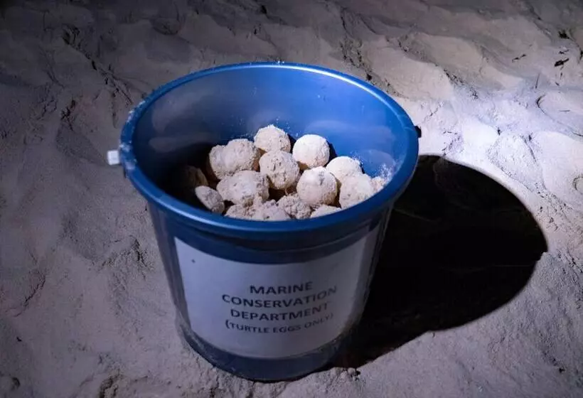 ホテル The Reef Dive Resort