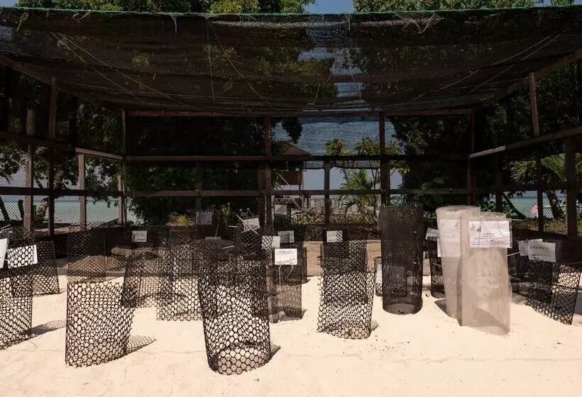 ホテル The Reef Dive Resort