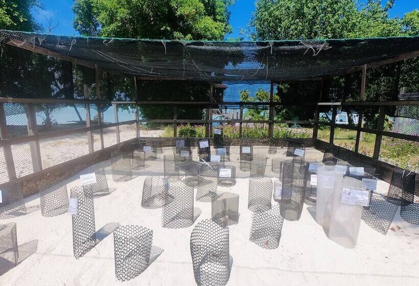 Hotel The Reef Dive Resort