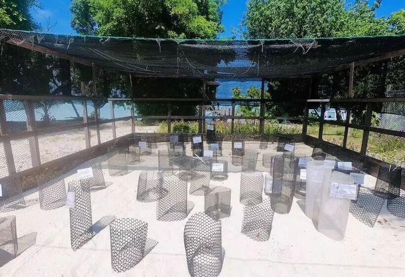 ホテル The Reef Dive Resort