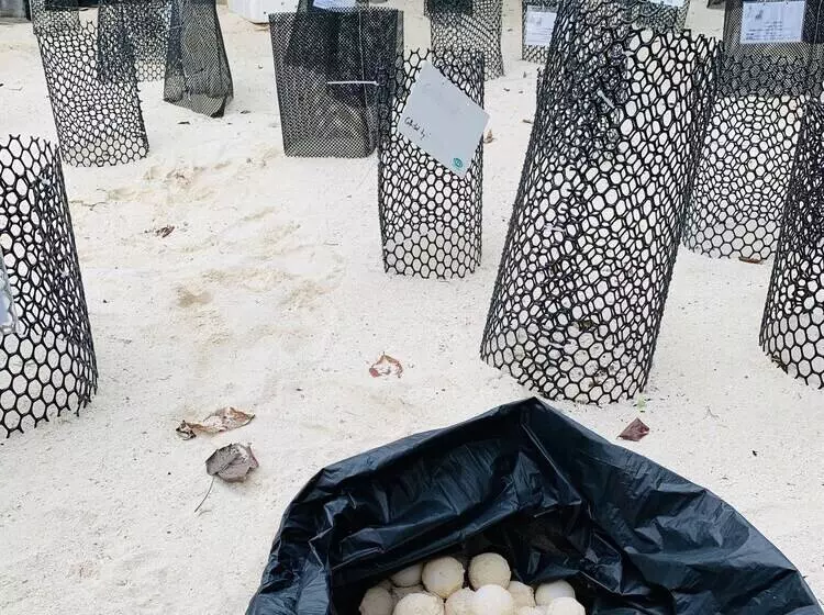 ホテル The Reef Dive Resort