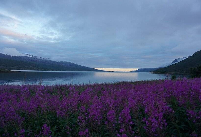 ホテル Tjeldsundbrua Camping