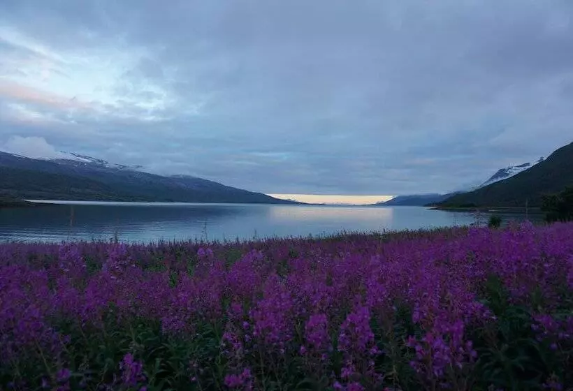 ホテル Tjeldsundbrua Camping