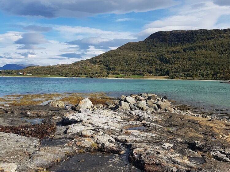 ホテル Tjeldsundbrua Camping