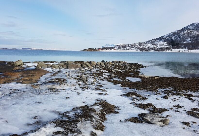 ホテル Tjeldsundbrua Camping