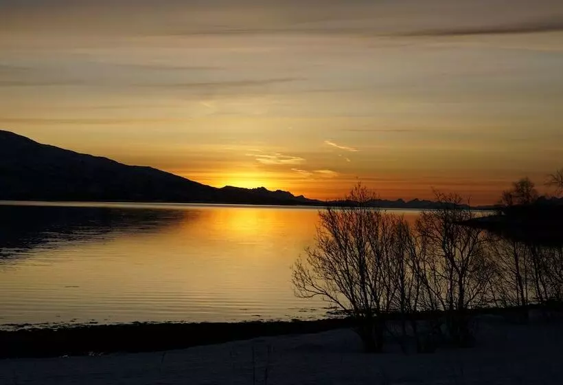 ホテル Tjeldsundbrua Camping