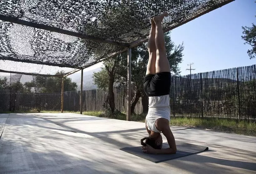 ホテル Verina Terra