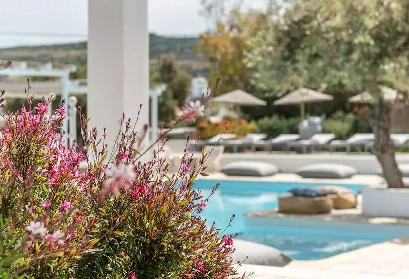 ホテル Verina Terra