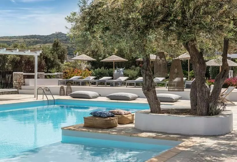 ホテル Verina Terra