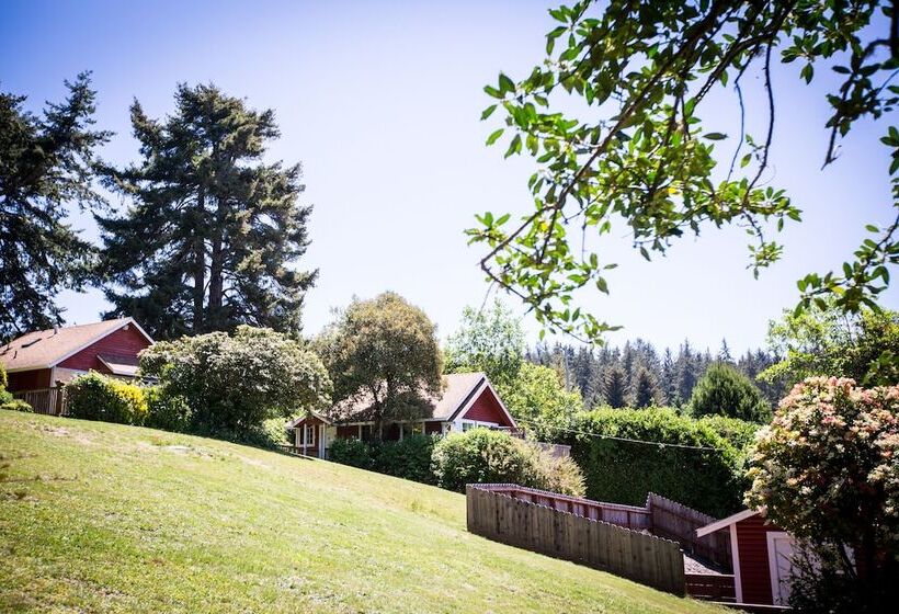 فندق View Crest Lodge