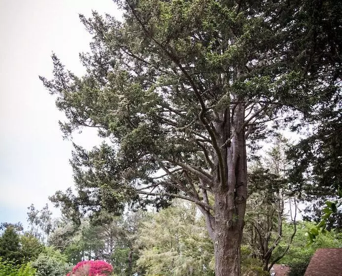 Hotelli View Crest Lodge