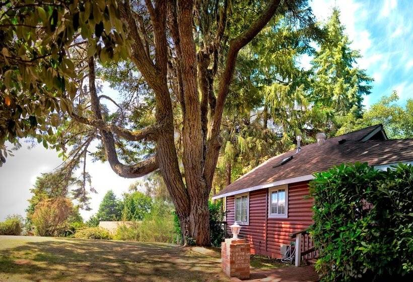 فندق View Crest Lodge