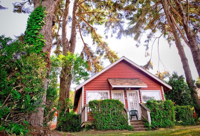 فندق View Crest Lodge