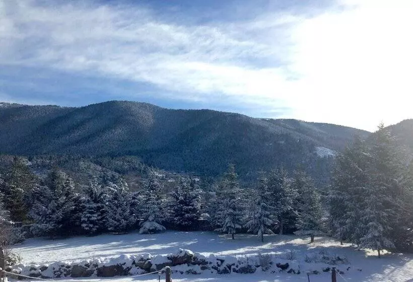 Hotelli Vitina House