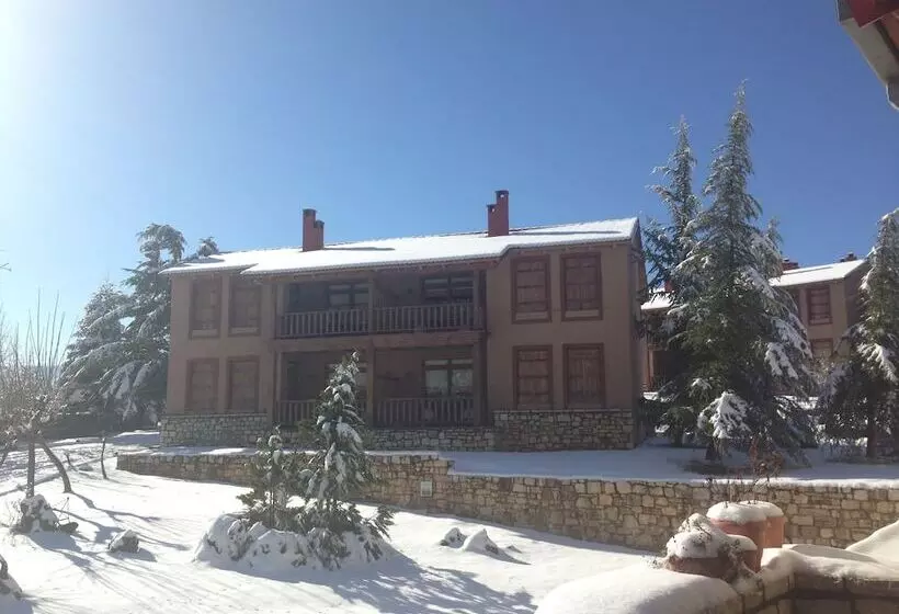 Hotelli Vitina House