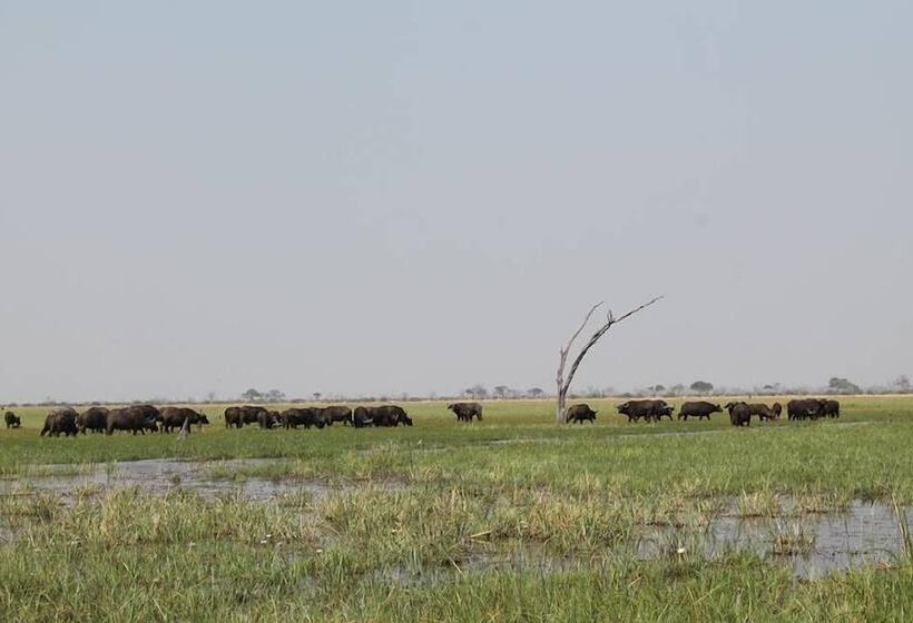 هتل Xakanaka Mobile Camp