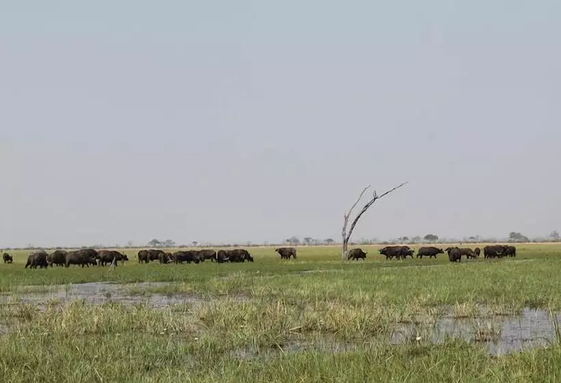 هتل Xakanaka Mobile Camp