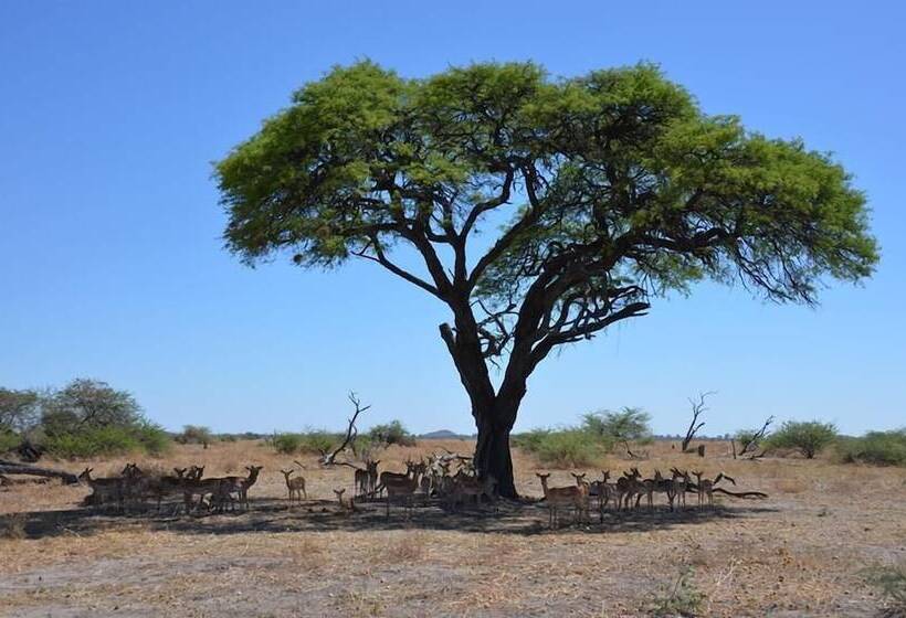 هتل Xakanaka Mobile Camp