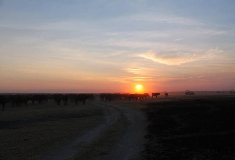 هتل Xakanaka Mobile Camp