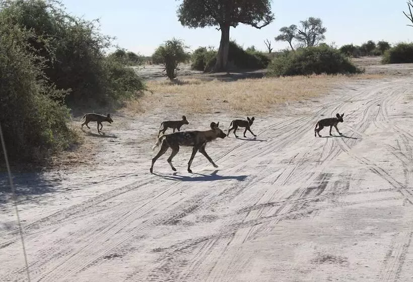 هتل Xakanaka Mobile Camp