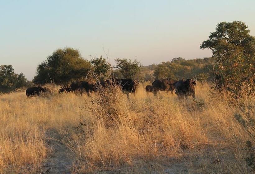 هتل Xakanaka Mobile Camp