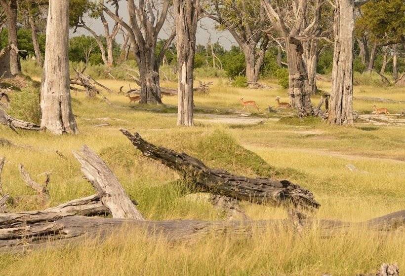 هتل Xakanaka Mobile Camp