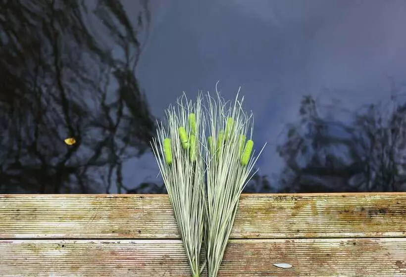 Lethe Exclusive Hotel   Adults Only