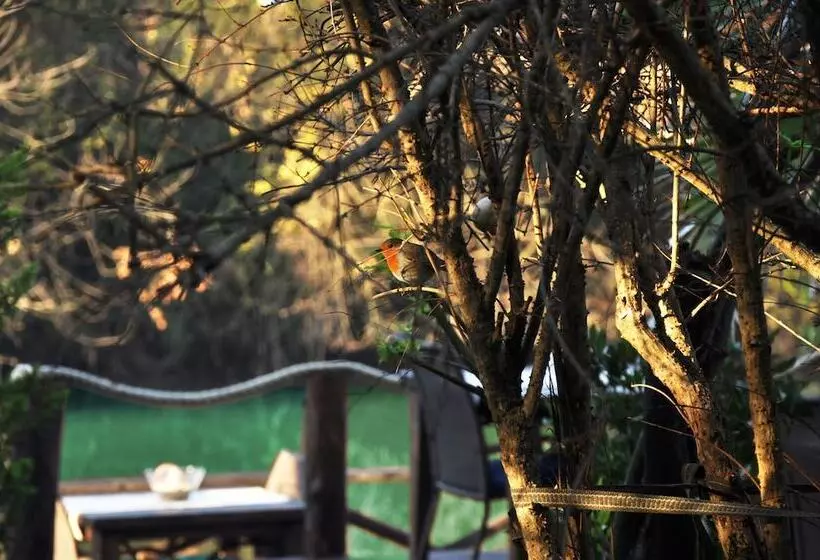 Lethe Exclusive Hotel   Adults Only