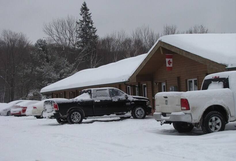 فندق على الطريق Quiet Bay Inn & Café