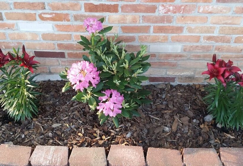 汽车旅馆  River Country Motor Lodge