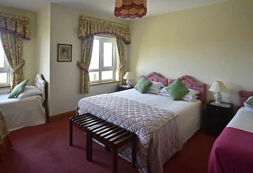 Moyglare Lodge Country House B&b