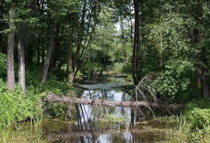 ペンション Kuźnia Pałacowa