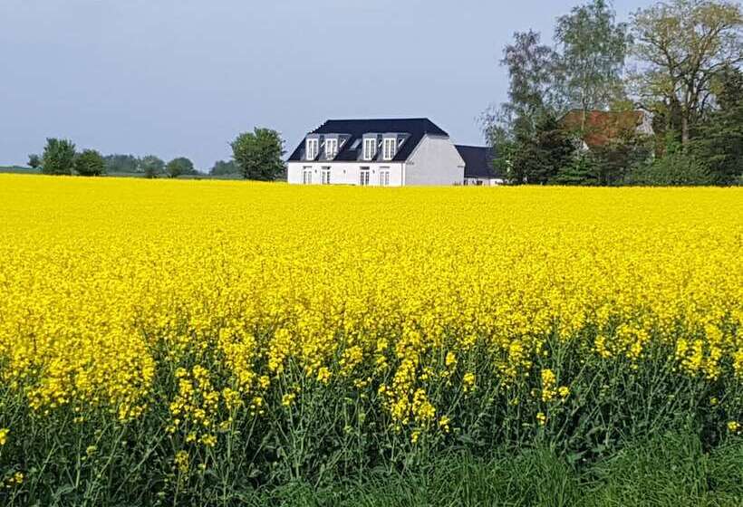 Pensiune Roskilde B&b