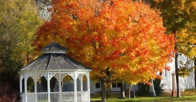 膳宿费 The Grafton Inn