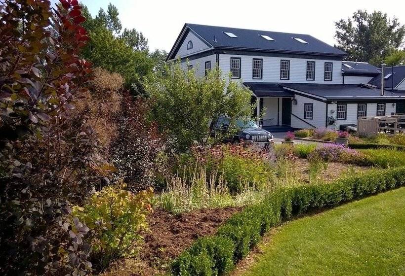 膳宿费 The Grafton Inn