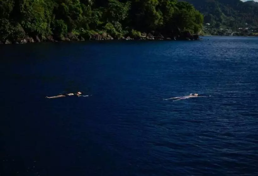 Richmond Vale Diving And Hiking Center   Hostel