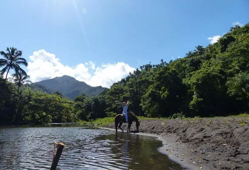 Richmond Vale Diving And Hiking Center   Hostel