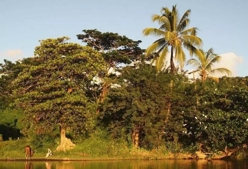 Richmond Vale Diving And Hiking Center   Hostel