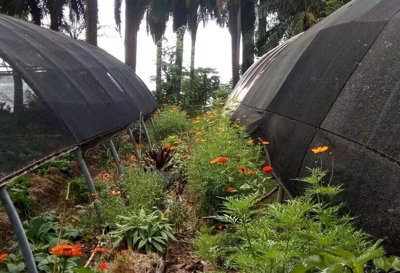 Richmond Vale Diving And Hiking Center   Hostel