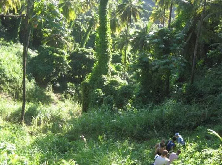 Richmond Vale Diving And Hiking Center   Hostel
