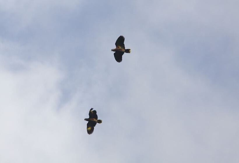 Richmond Vale Diving And Hiking Center Hostel