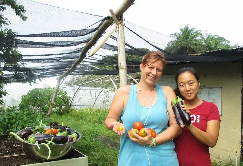 Richmond Vale Diving And Hiking Center   Hostel