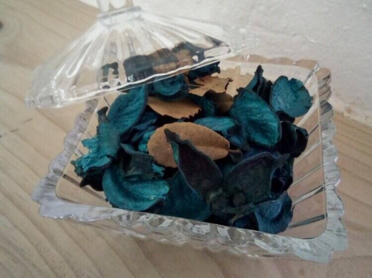 Richmond Vale Diving And Hiking Center Hostel