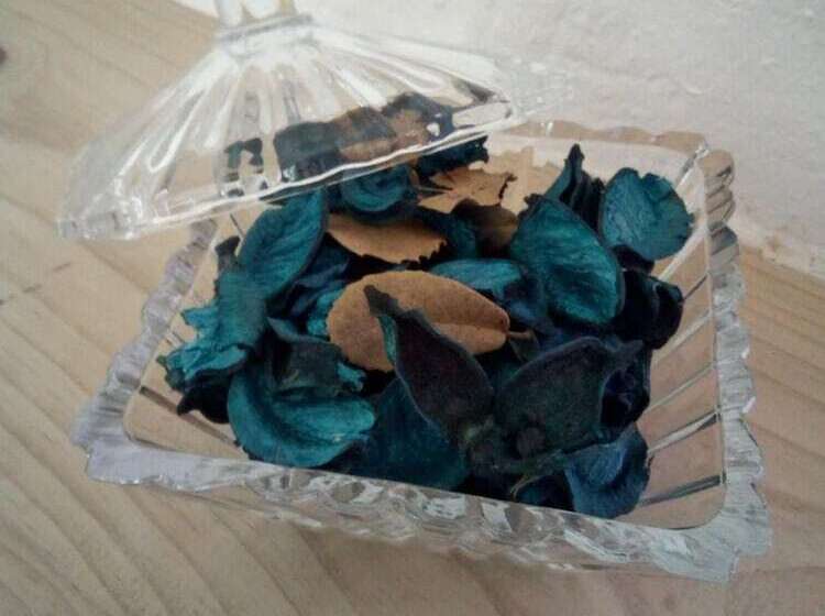 Richmond Vale Diving And Hiking Center Hostel